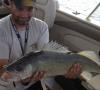 John Elliott - Fort Peck - 30ins - Aug 2012