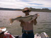 John Swenson caught (and released) this walleye on Fort Peck in June.Weight: 11 pounds 12 ounces