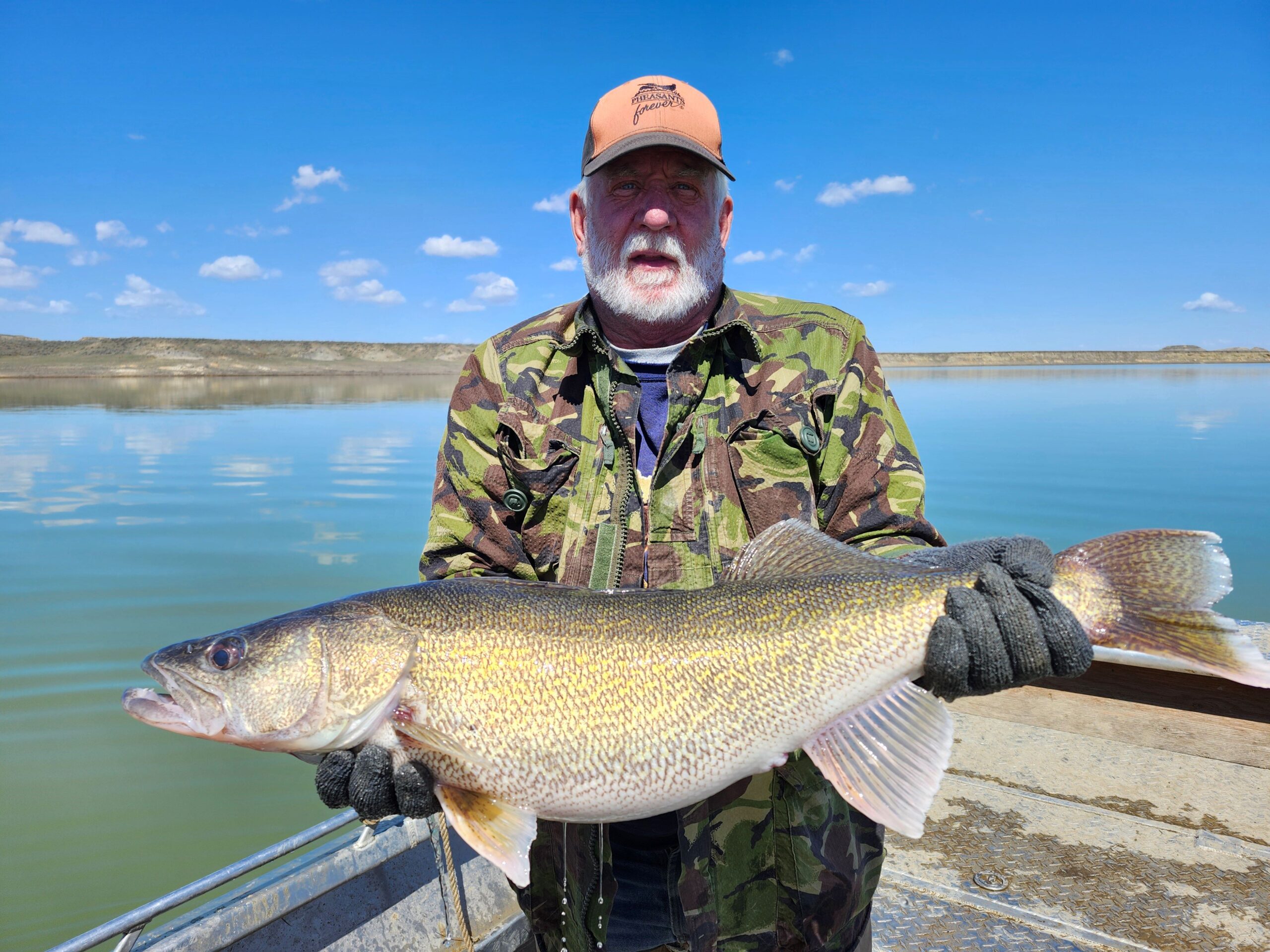 WALLEYE NEWS